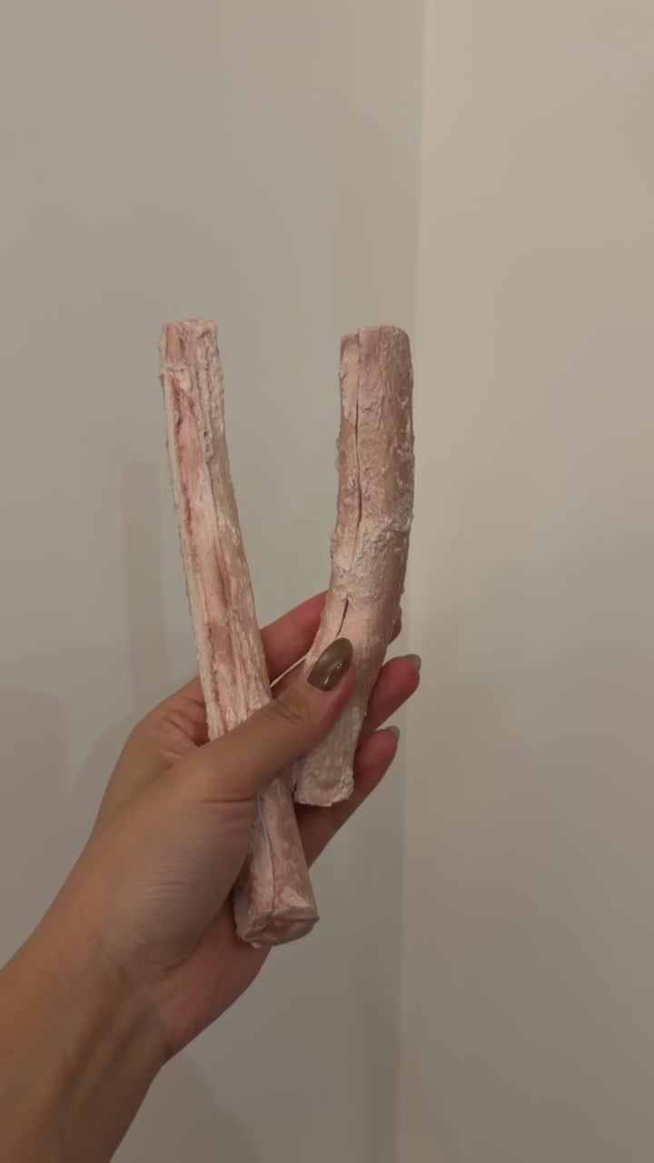 Freeze Dried Beef Pizzle